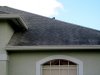 Tampa Non Pressure Roof Cleaning 045.jpg