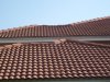 Tampa Cleaning Tile Roof 1.jpg