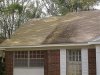 Tampa Roof Cleaning 001.jpg