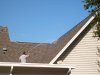 Tampa Non Pressure Roof Cleaning 015.jpg